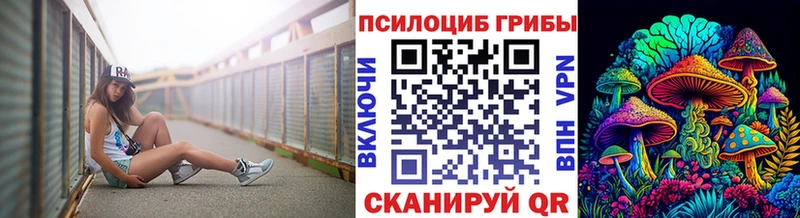 сколько стоит  Шадринск  Галлюциногенные грибы Psilocybine cubensis 